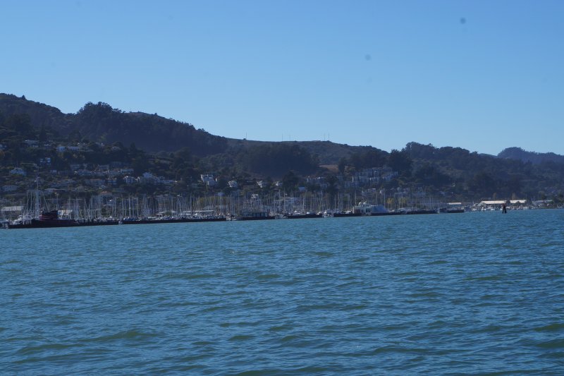 DSC00020