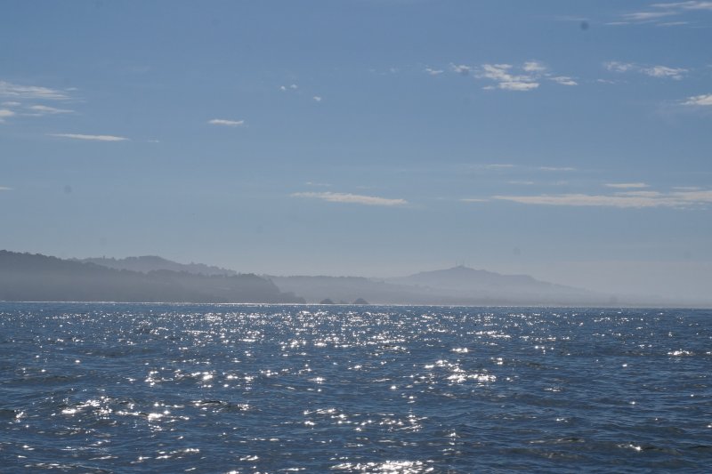 DSC00052