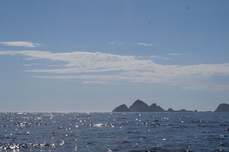DSC00100