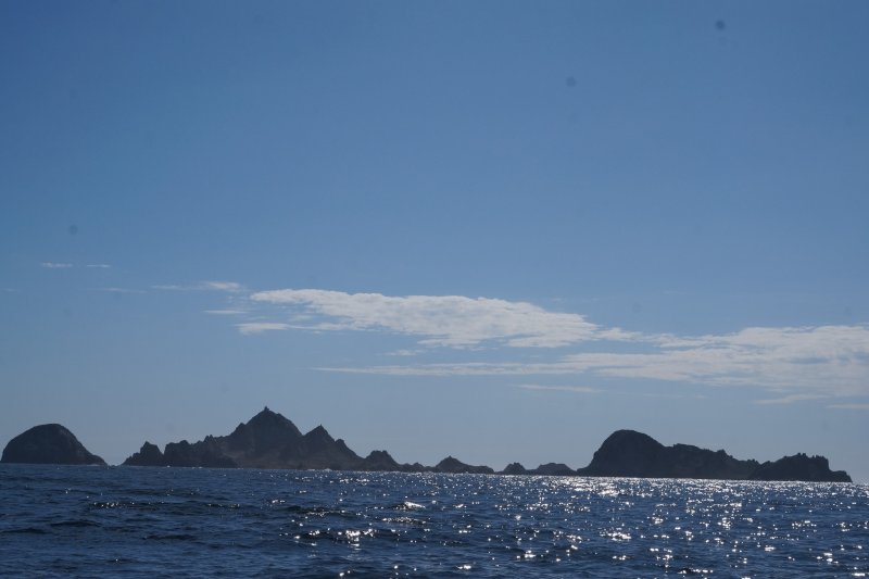 DSC00104