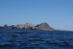 Drakes Bay And Farallon Islands 10-2024