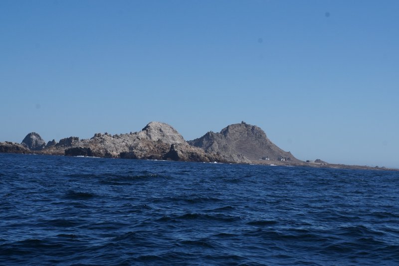DSC00106