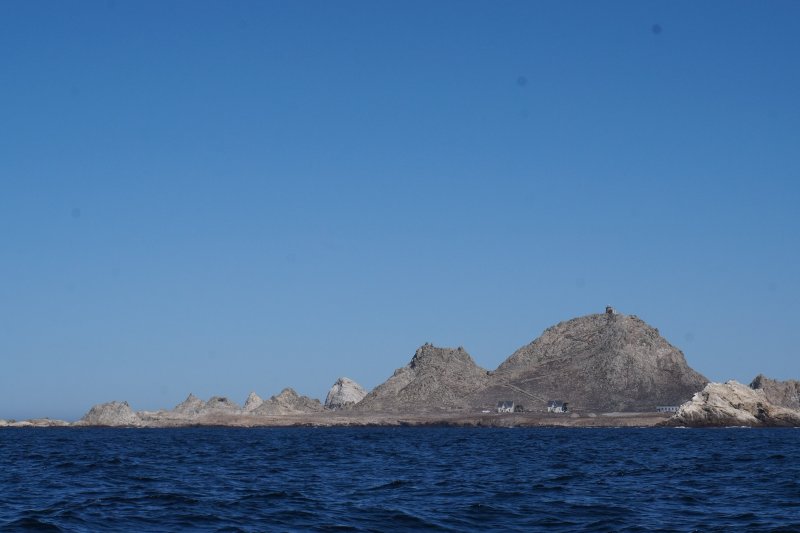 DSC00110