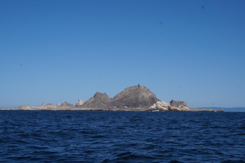 DSC00111